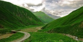 Stampa su tela – Natura verde