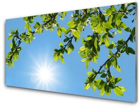 Quadro di vetro Sole Natura 100x50 cm