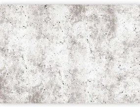 Fotomurale  Urban Style: Concrete Lavabile 150x105