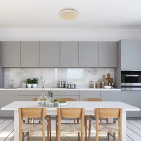 Rabalux 71182 - Plafoniera LED TREVOR LED/18W/230V 3000K diametro 33 cm