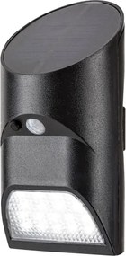 Rabalux 77013 - Luce solare a LED con sensore SEPIK LED/3,6W/3,7V IP44