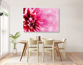 Stampa su tela – Fiore rosa