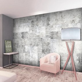 Fotomurale adesivo  Concrete: Grey City  Larghezza x Altezza Home decor 98x70