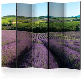 Paravento  Lavender fields II [Room Dividers]  Colore Viola, Dimensioni e Misure 225x172