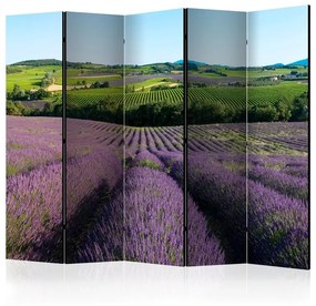 Paravento Lavender fields II [Room Dividers]