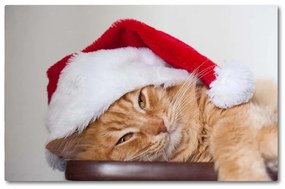 Tagliere in vetro Cappello di Babbo Natale gatto 60x52 cm