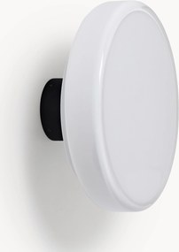 Applique a LED luce regolabile Caramel, varie misure