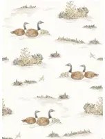 Coordonne Carta da parati Mallard Duck - Sunny
