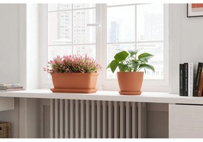 Petto 32 cm Siza - Artevasi