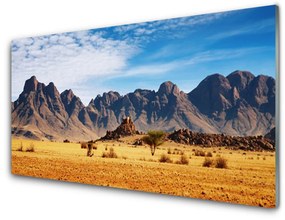 Quadro su vetro Paesaggio delle montagne del deserto 100x50 cm