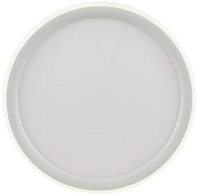 Brilliant - Plafoniera dimmerabile a LED CARLOZ LED/16W/230V Ø 30 cm bianco