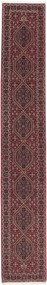 Bidjar Tappeto persiano 60x400 (Iran) Annodato A Mano