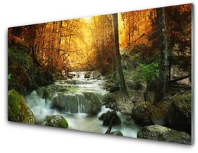 Rivestimento parete cucina Cascata Natura Foresta autunnale 100x50 cm