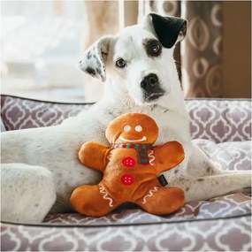 Giocattolo per cane Gingerbread Man - P.L.A.Y.