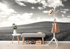 Carta da parati – Splendido giorno nel prato in bianco e nero