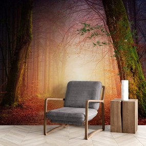 Carta da parati autoadesiva – Foresta dai colori fiabeschi