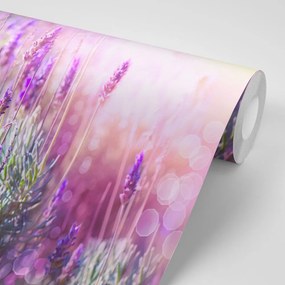 Carta da parati autoadesiva – Fiori magici di lavanda