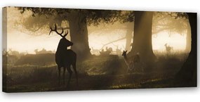 Quadro su tela, Cervo nella foresta nebbia marrone  Dimensioni 120x40