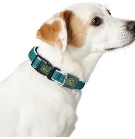 Collare per Cani Hunter Basic Filo Taglia M Lime (33-50 cm)