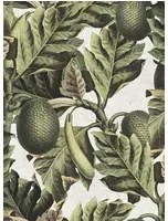Mindthegap Carta da parati Exotic Fruit I - WP20097