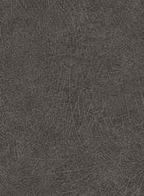 Elefantenhaut Tapete Skin 5 von Eijffinger - Schwarz
