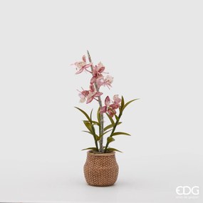 EDG orchidea dendrobium artificiale con vaso cesto h 47