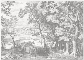 Carta da parati in tessuto non tessuto Engraved Landscapes