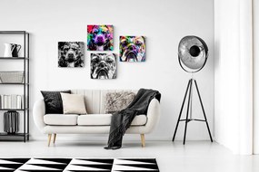 Set di quadri – Cani in stile pop art