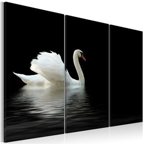 Quadro Cigno bianco solitario  Colore Arancione, Dimensioni e Misure 120x80