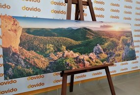 Stampa su tela – Natura baciata dal sole