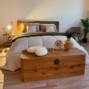 PEZ - baule in legno di pino riciclato