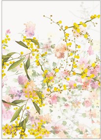 Set di 4 strofinacci in cotone Mimosas