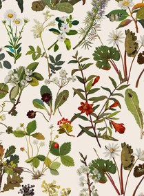 House of Hackney Tapete Herbarium - Ecru