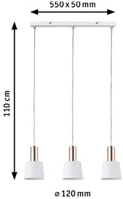 Paulmann 79657 - 3xE14/20W Lampadario a sospensione con filo NEORDIC HALDAR 230V