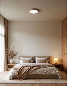 Brilagi - Plafoniera da bagno CLARE 3xE27/24W/230V diam. 40 cm IP54 marrone