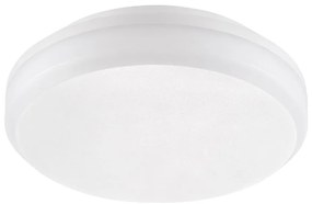 Emithor 63207 - Plafoniera LED tecnica SURFACE 1xLED/30W/230V IP65