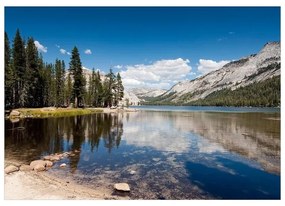 Fotomurale Tenaya Lake