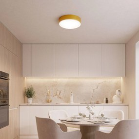 TEMAR LIGHTING Plafoniera Cleo, Ø 20 cm, IP54, colore oro, metallo, E27