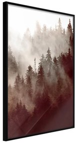 Poster  Forest Fog  Cornice Quadri Cornice nera, Larghezza x Altezza Home decor 20x30