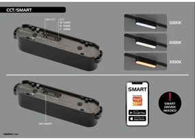 Rabalux 70132 - Lampadario a sospensione con filo LED dimmerabile per sistema ferroviario monofase LiTrack LED/5W/24V