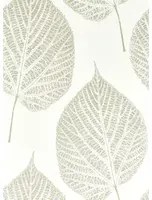 Harlequin Carta da parati Leaf - Chalk/ Silver