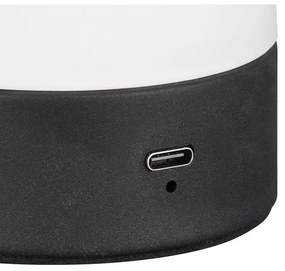 Lampada da tavolo LED bianco opaco con paralume in vetro (altezza totale 18 cm) Dooley – Trio