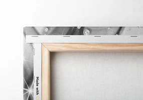 Stampa su tela – Fiori in bianco e nero su sfondo astratto