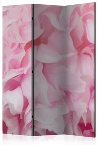 Paravento separè Azalea (rosa) - vellutata composizione di petali rosa