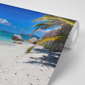 Carta da parati – Spiaggia Anse Source