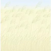 Harlequin Carta da parati panoramica Miscanthus - Buttermilk/ Sky