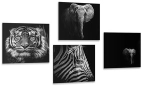 Set di quadri – Animali in stile bianco e nero