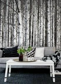 Rebel Walls Carta da parati panoramica Birch Trunks