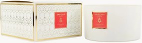 Candela profumata a tre stoppini Cinnamon Spice (cannella)
