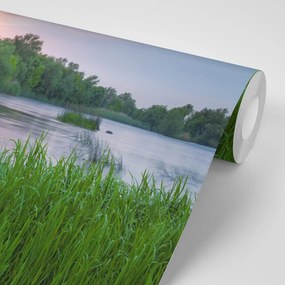 Carta da parati – Alba sul fiume